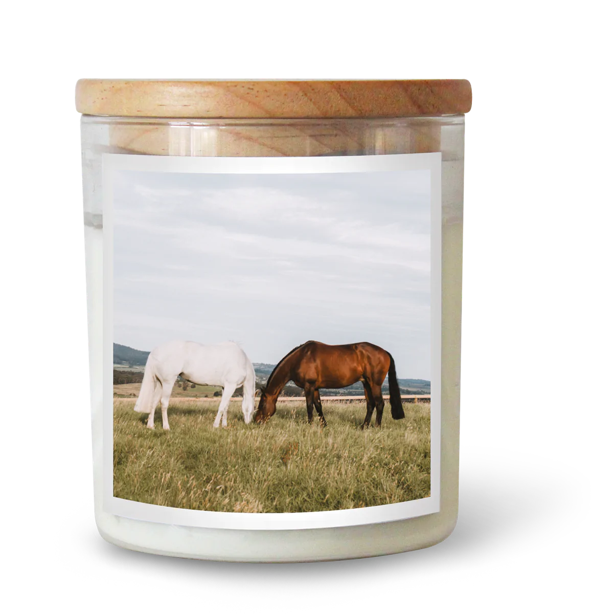 The Horses || Candle