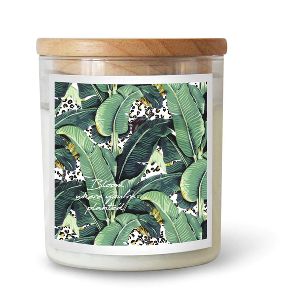 'Bloom Where You're Planted' || Candle