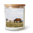 The Horses || Candle